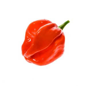 Antillean Pepper