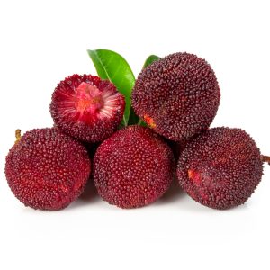 Arbutus