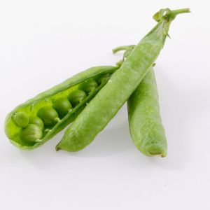 Broad beans