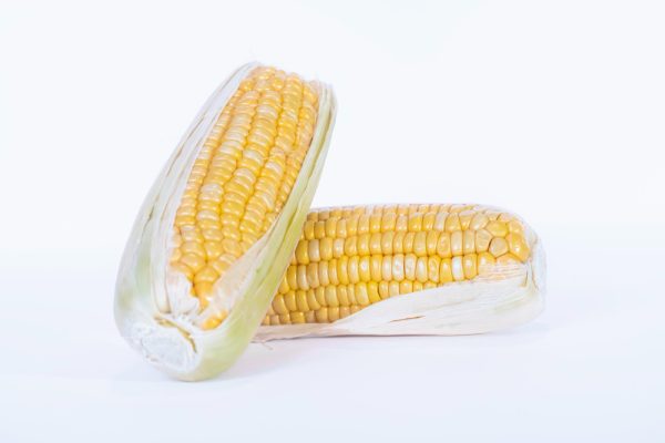 Corn – Alba Exotic Fruit