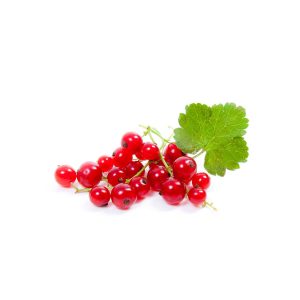 Currant