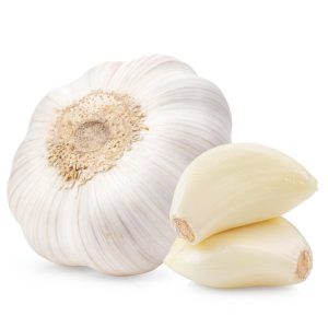 Garlic