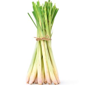 Lemongrass