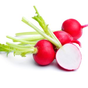 Radish
