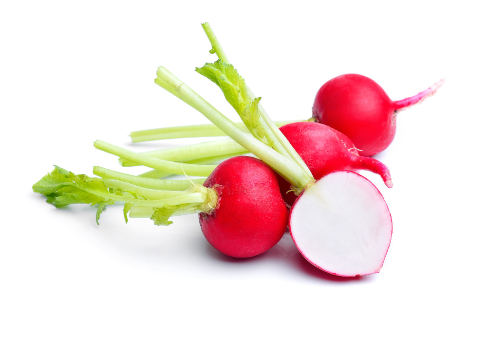 Radish