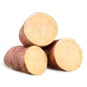 Yam (Dioscorea spp.)