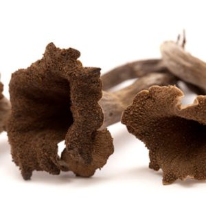 Black Trumpet Mushrooms
