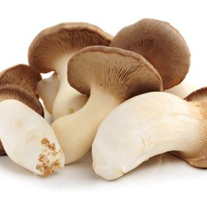 King Trumpet Mushrooms