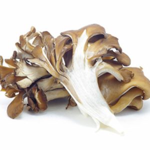 Maitake Mushrooms