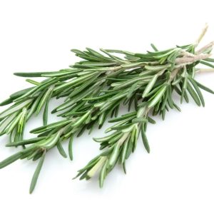 Rosemary
