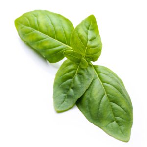 basil