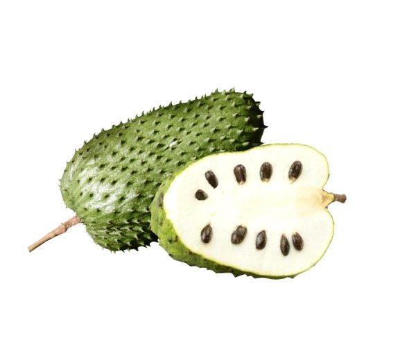 Gaviola