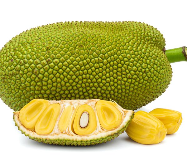 Jakcfruit